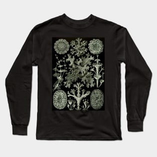 Lichen by Ernst Haeckel Long Sleeve T-Shirt